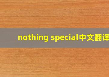 nothing special中文翻译